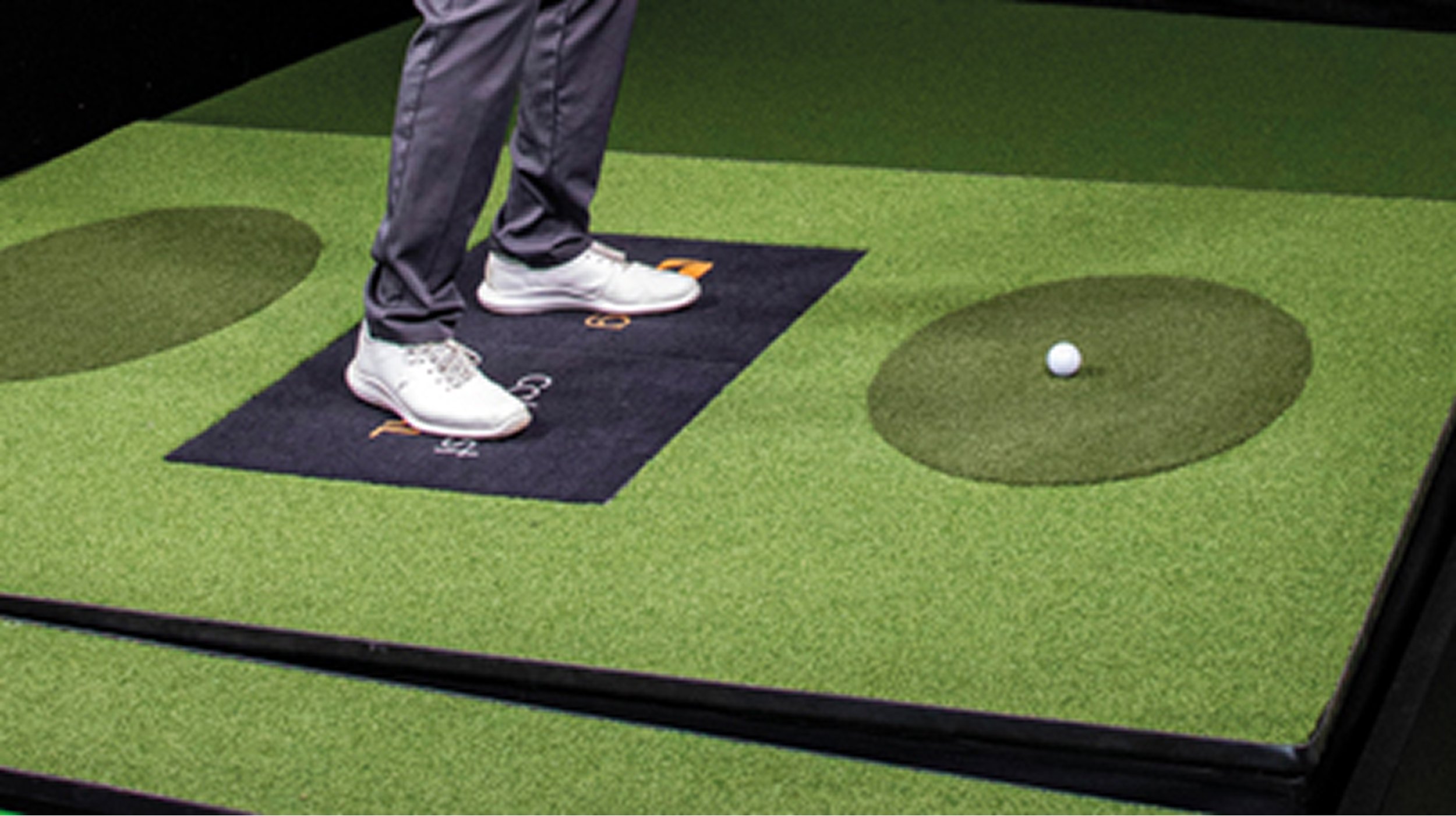 Swing-cat-close-up 1